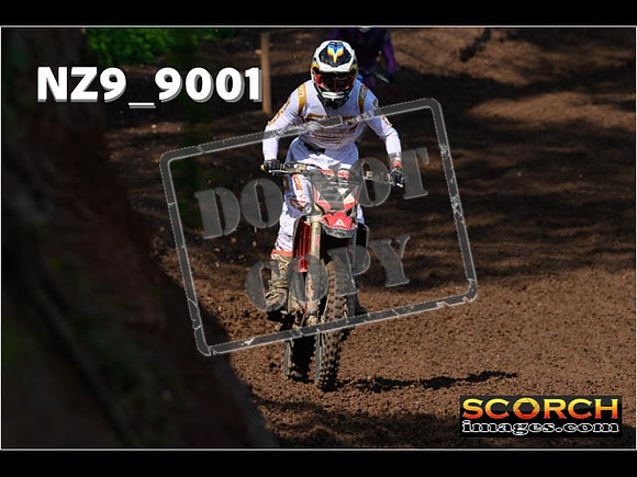 Experts-126