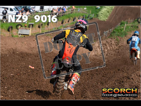 Experts-141
