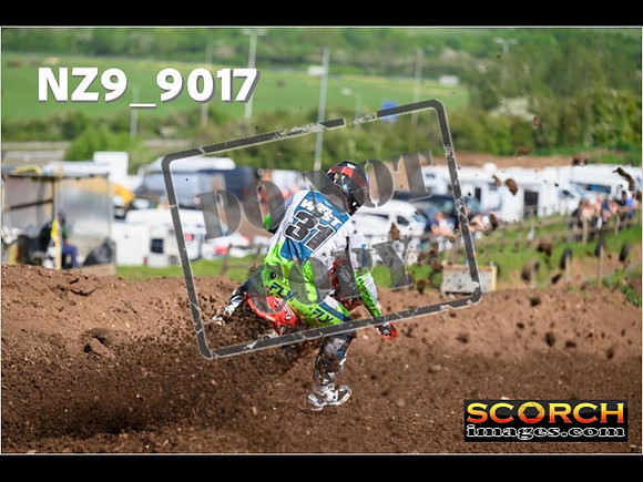 Experts-142
