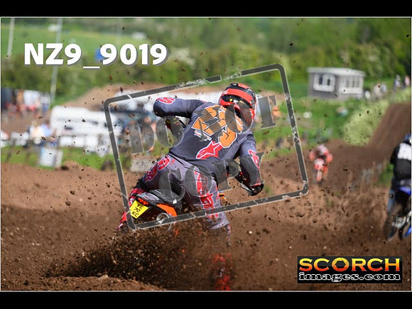 Experts-143