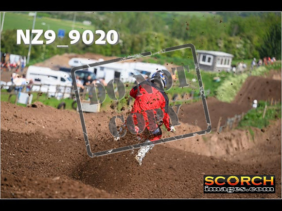 Experts-144