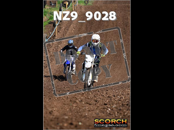 Experts-149
