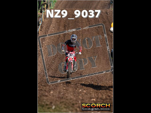 Experts-158