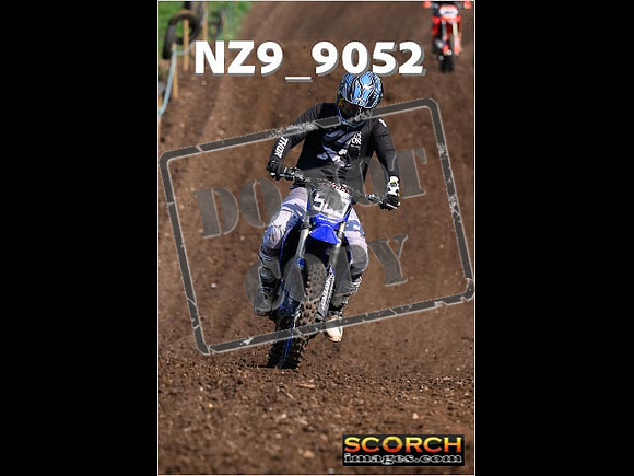 Experts-173