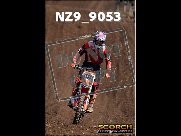 Experts-174