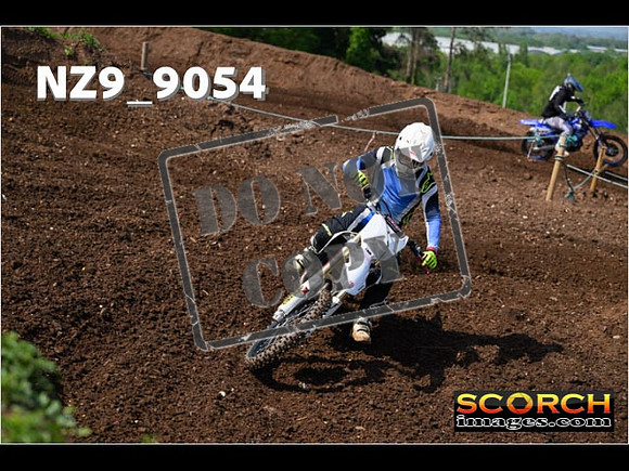Experts-175