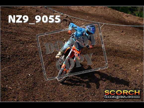 Experts-176