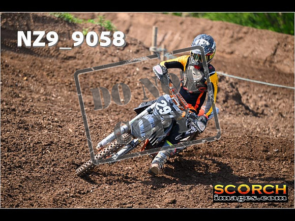 Experts-179