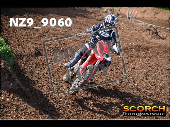 Experts-181