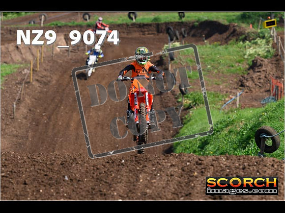 Experts-195