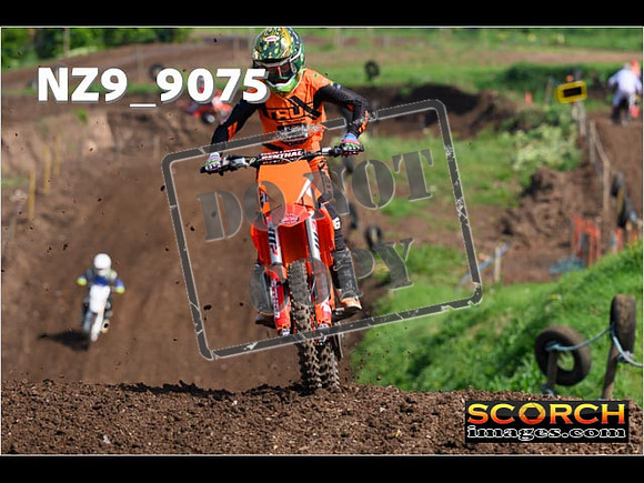 Experts-196