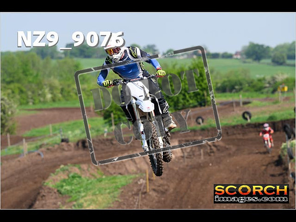 Experts-197