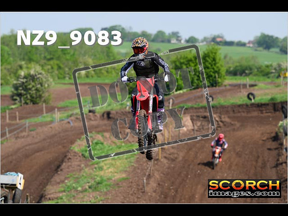 Experts-204