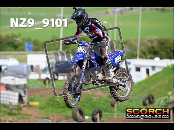 Experts-222