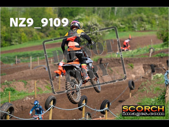 Experts-229