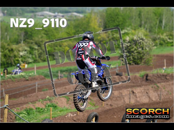 Experts-230