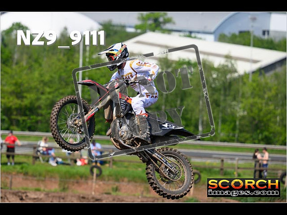 Experts-231