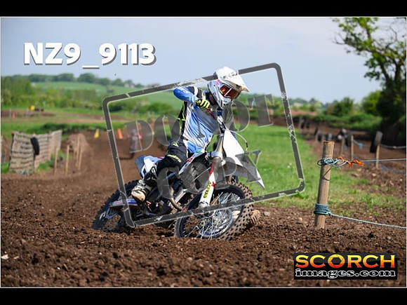 Experts-233