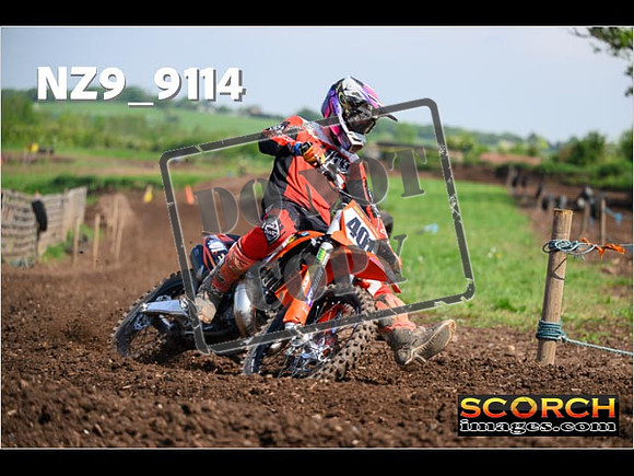 Experts-234