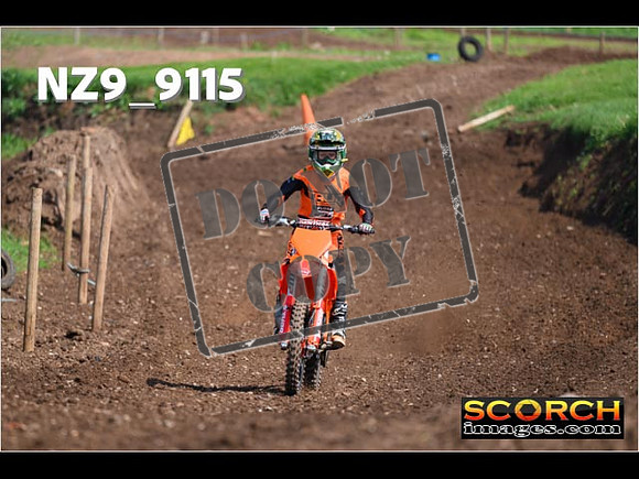 Experts-235