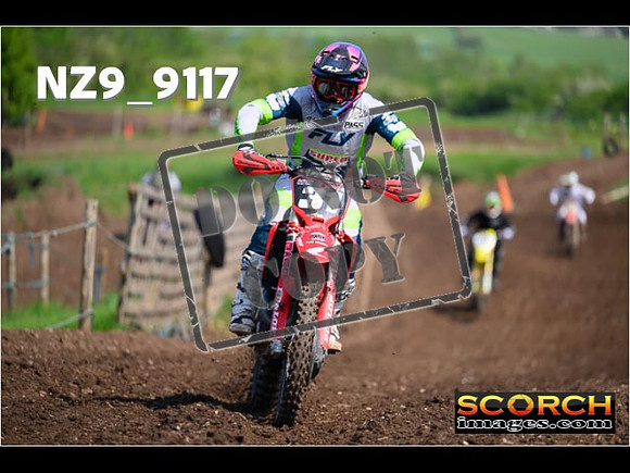 Experts-237