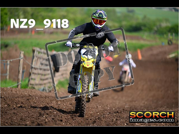 Experts-238