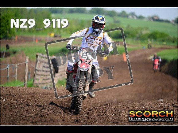Experts-239