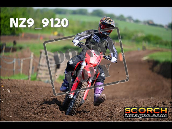 Experts-240