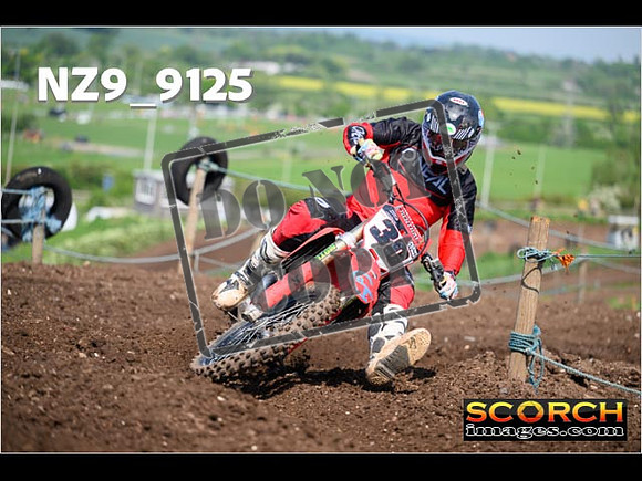 Experts-241