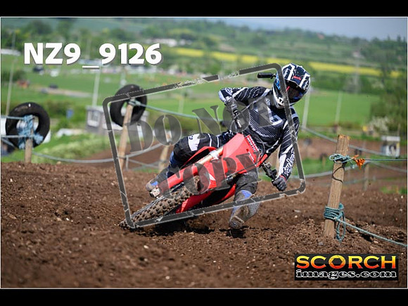 Experts-242