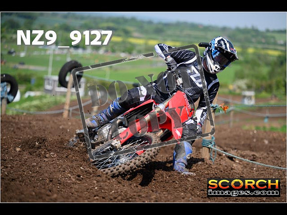 Experts-243