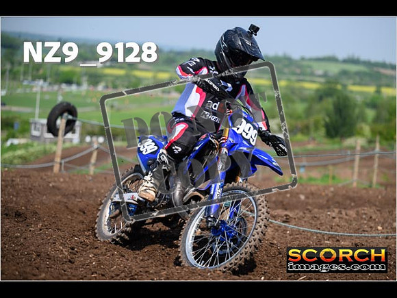 Experts-244