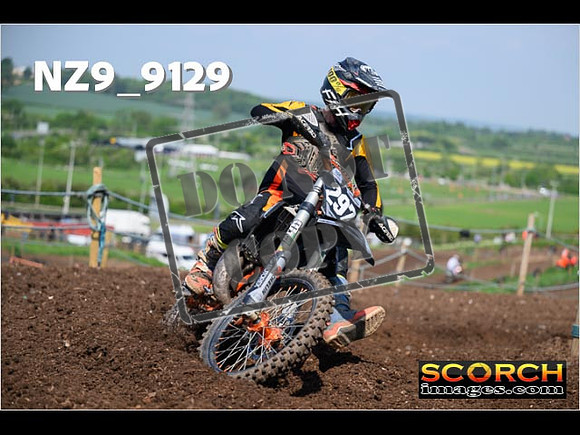 Experts-245