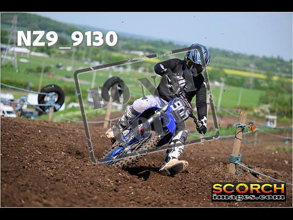 Experts-246