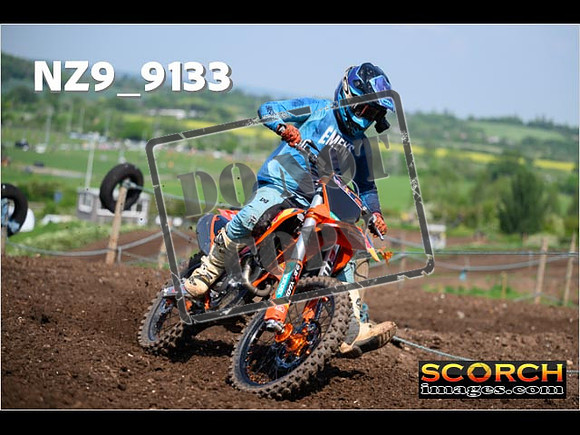 Experts-249