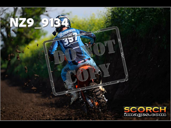 Experts-250