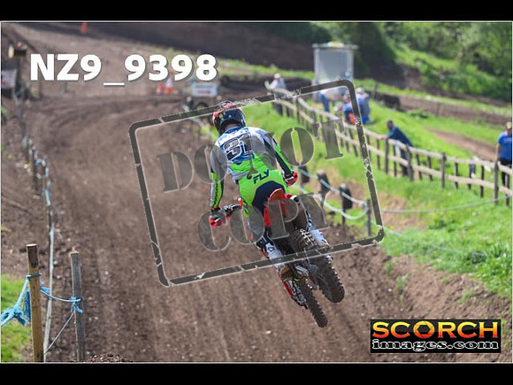 Experts-251