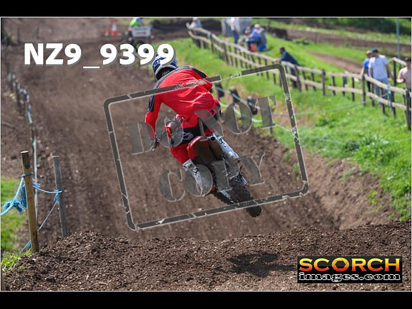 Experts-252