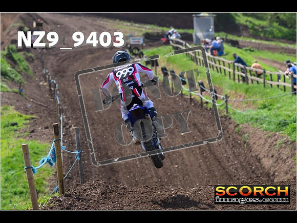 Experts-256
