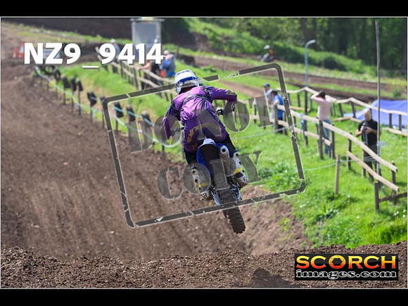 Experts-267