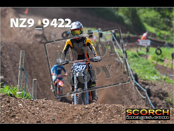 Experts-274
