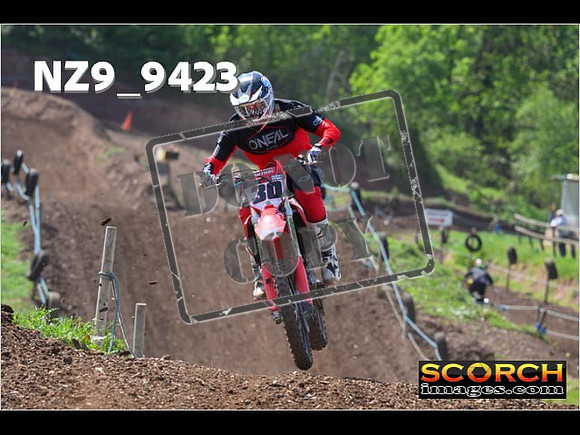 Experts-275