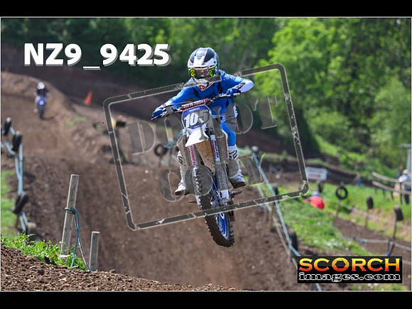 Experts-277
