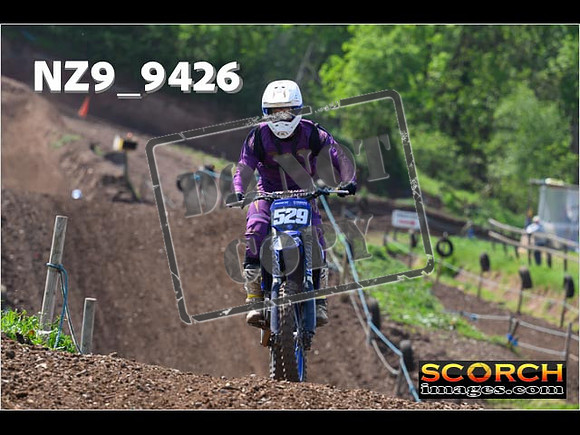 Experts-278