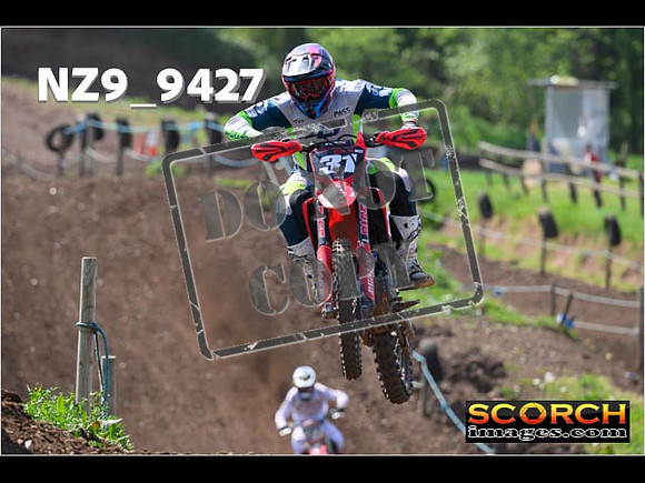 Experts-279