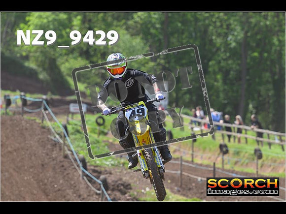 Experts-281