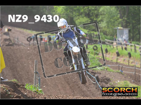 Experts-282