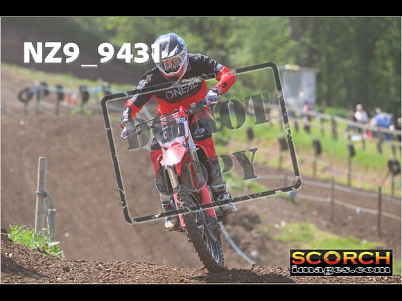 Experts-283