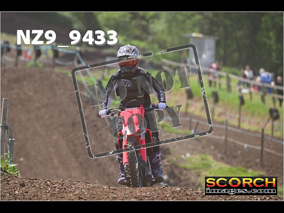 Experts-285
