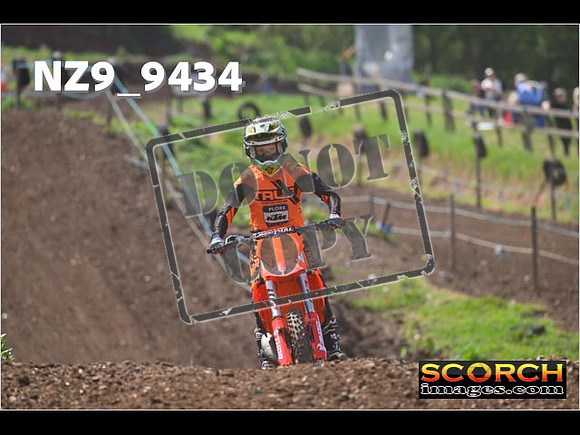 Experts-286